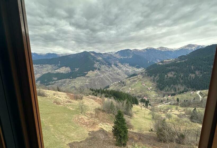 Отель Meşei̇çi̇ Butik