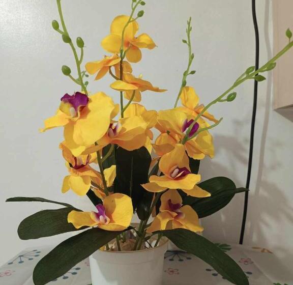 هتل Sea Residences By Sher