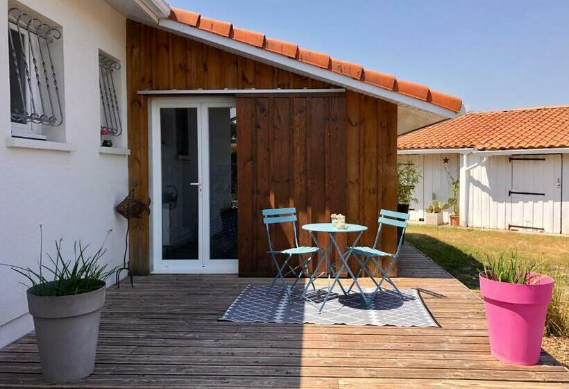 بنسيون Logement Indépendant Bassin D Arcachon