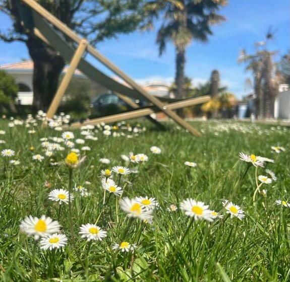 بنسيون Logement Indépendant Bassin D Arcachon