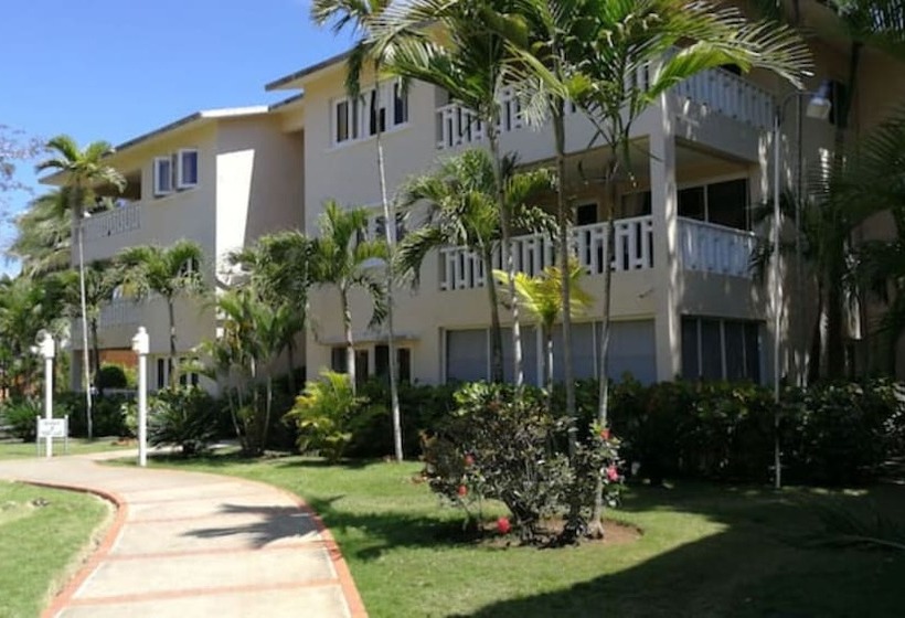 膳宿费 Room In Apartment Delightful Caribbean Apartment In Boca Chica