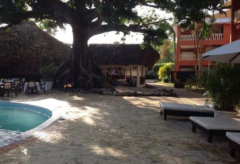 膳宿费 Room In Apartment Delightful Caribbean Apartment In Boca Chica