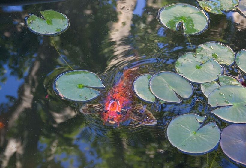 膳宿费 Villa Amara