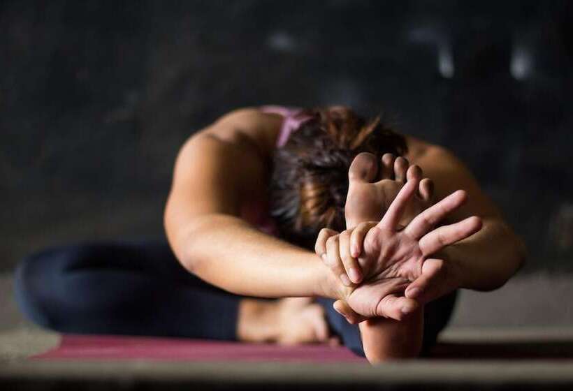 膳宿费 Villa Amara