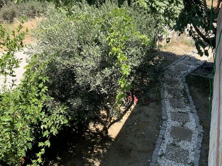 Shanti Too   Sığacık   Hostel