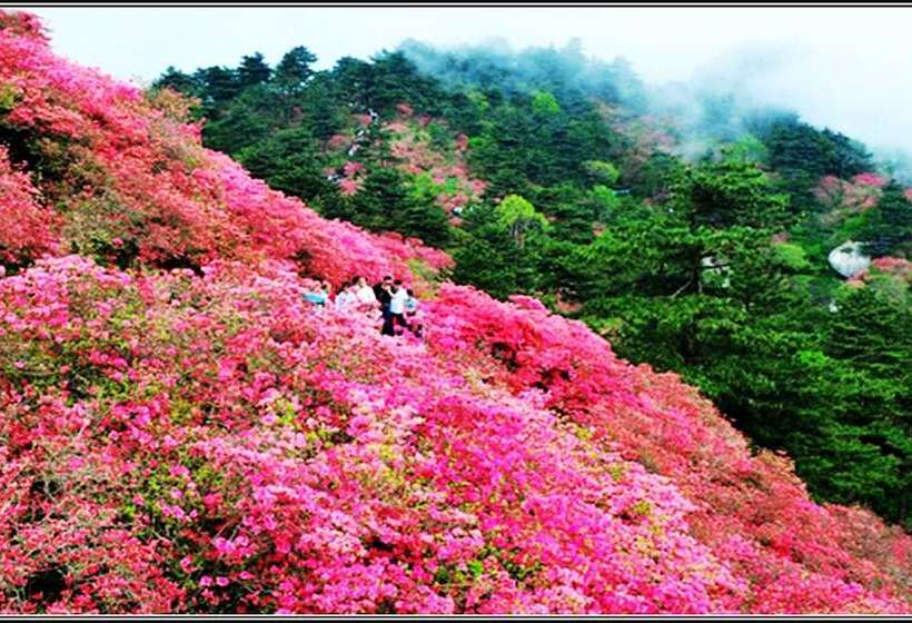 酒店 Guangzhou Shan Dong Building Luyue