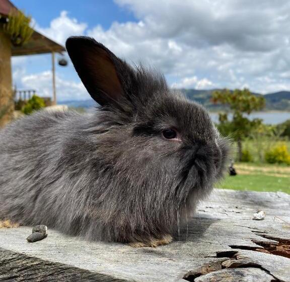 צימר Cabaña Piedra&cielo