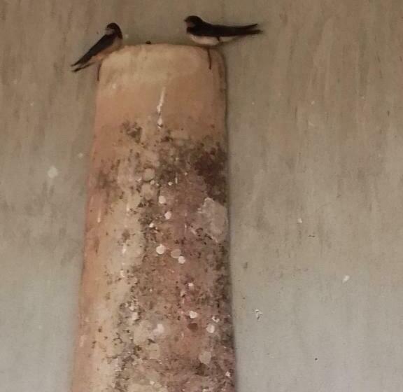 צימר L Orée Des Bois Chambre Châtaigner