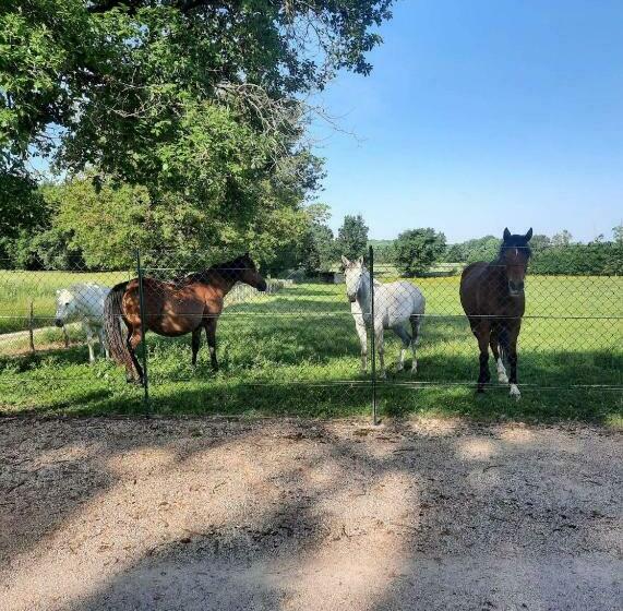 צימר L Orée Des Bois Chambre Châtaigner