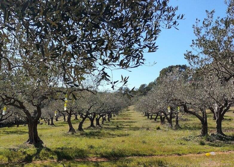 تختخواب و صبحانه Les Hauts Du Peireguier
