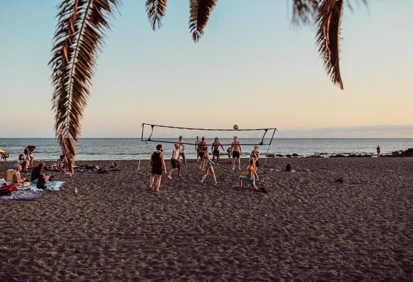 Hostel Los Amigos Yoga & Wellness