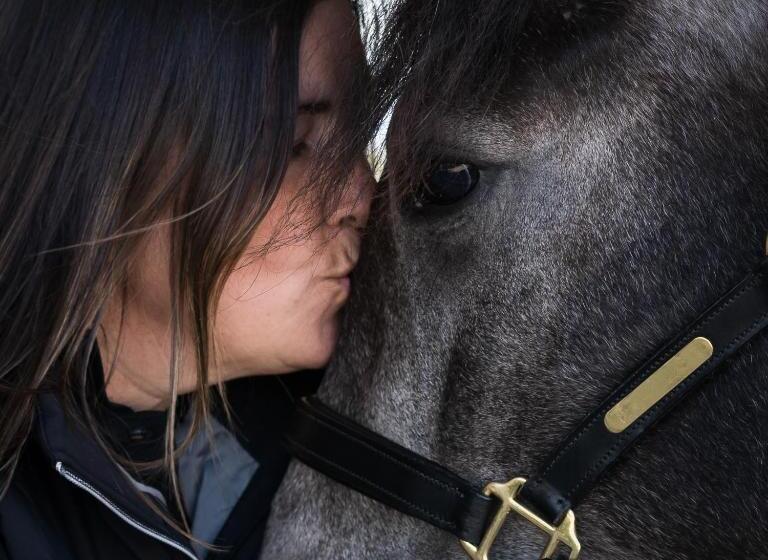 호텔 El Jardin De Las Magnolias