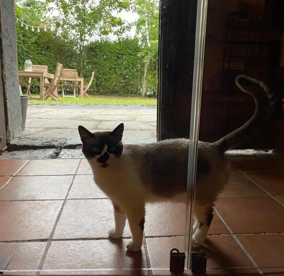 호텔 El Jardin De Las Magnolias