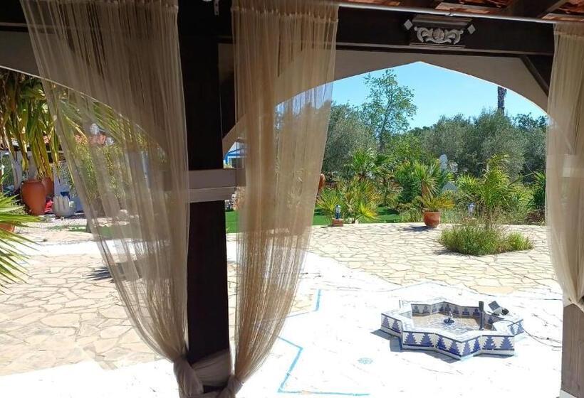 酒店 Art Villa Claudia