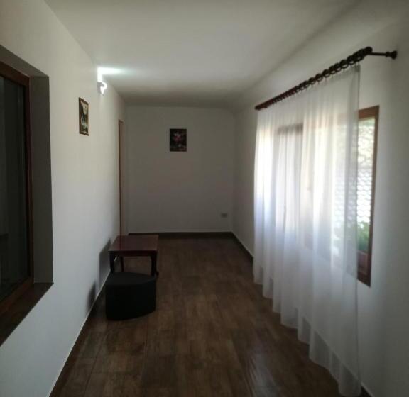 بنسيون Casa Adelin