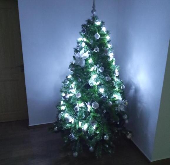 بنسيون Casa Adelin