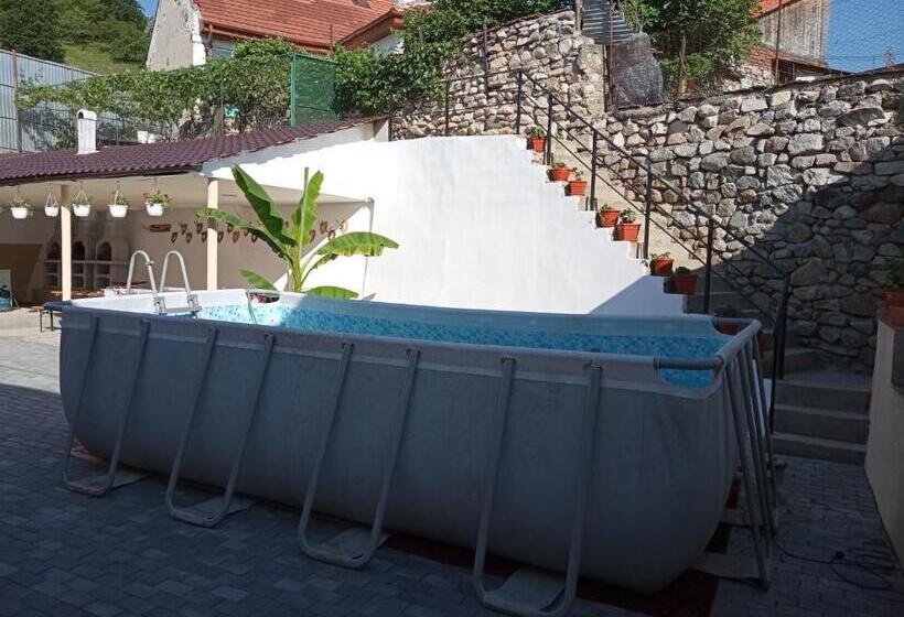 بنسيون Casa Adelin