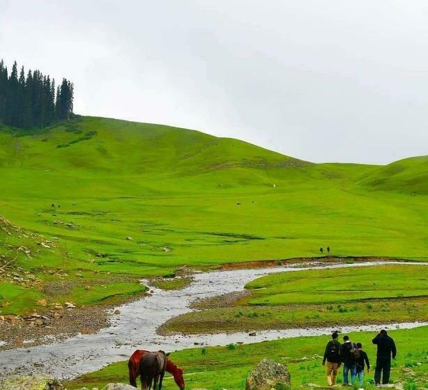 פנסיון Mir Guest House