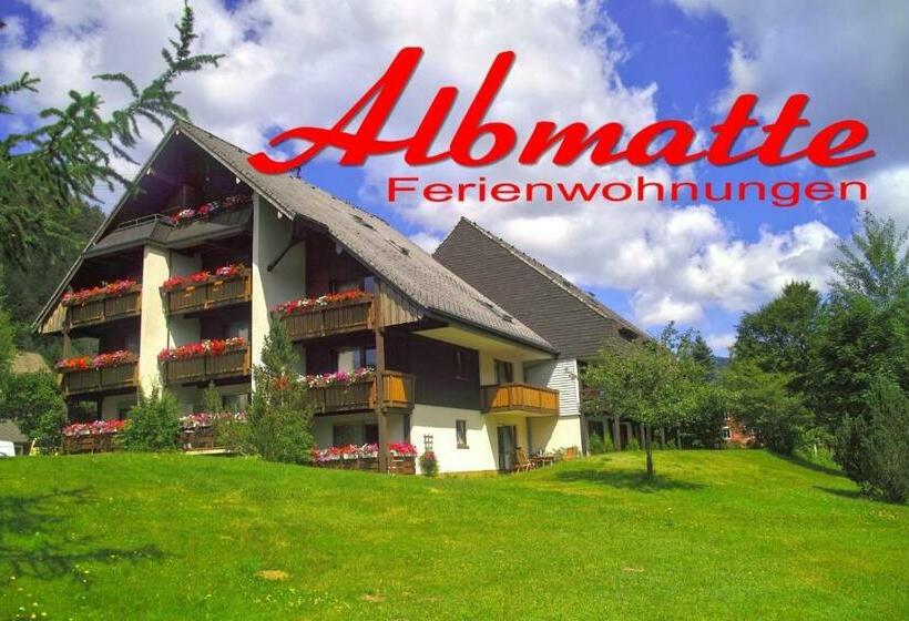 B1 Schwarzwald Fewo An Der Alb