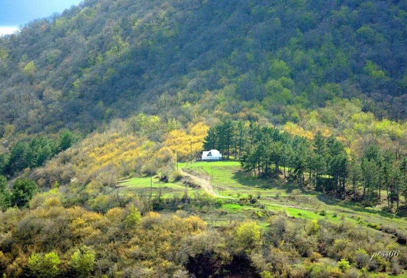 ペンション Aprelategh ապրելատեղ