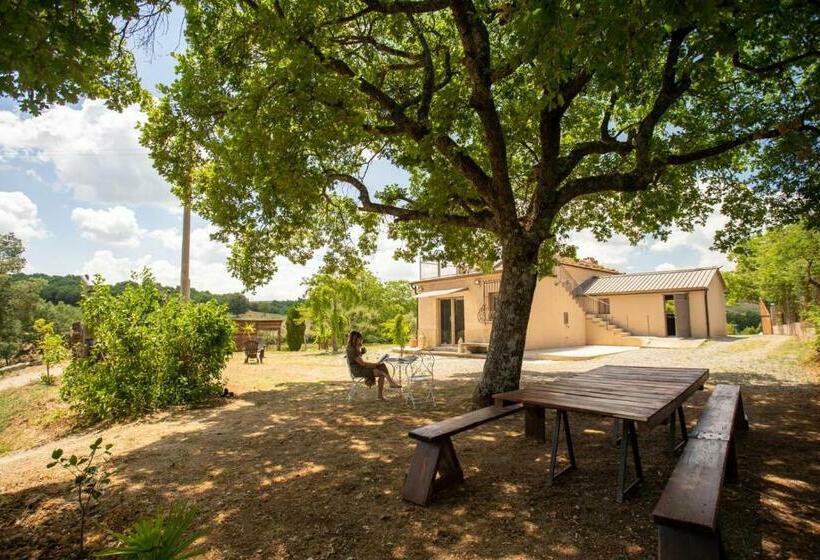 פנסיון Terra D Oriente