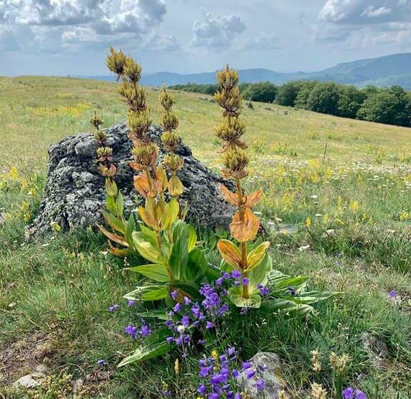 צימר Maison Du Chevalier Des Huttes   Table Et Chambres D Hôtes