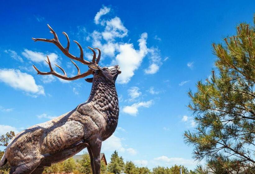 Отель Lodge At 5600