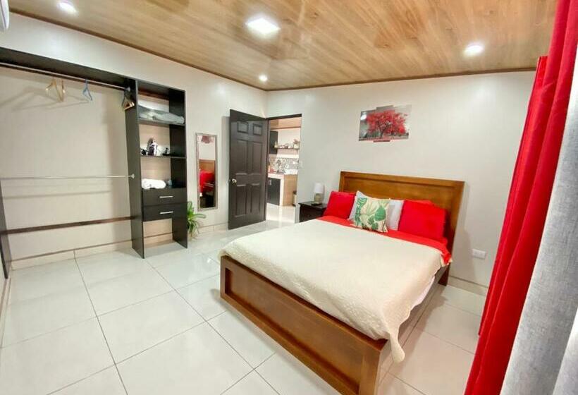 Paradise Apartment