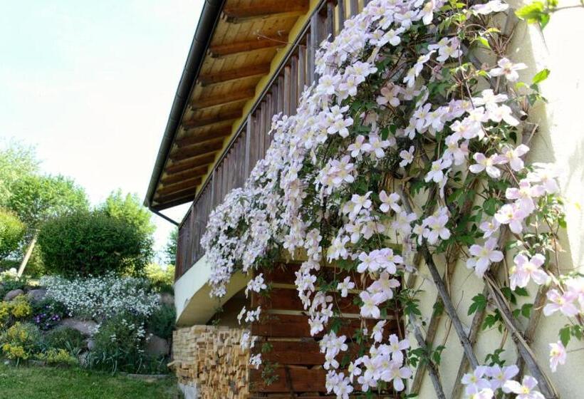 بنسيون Art And Sport Pinè