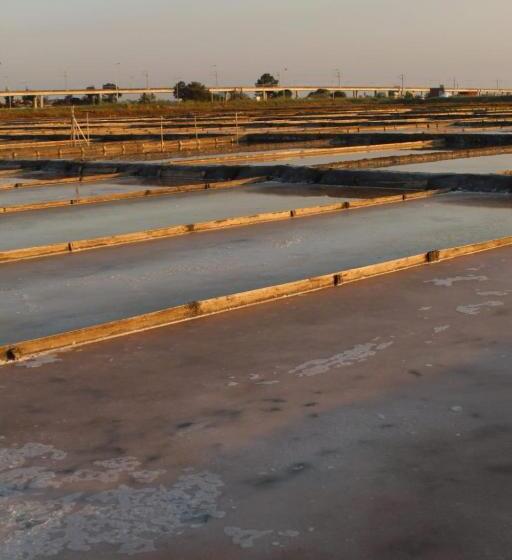 פנסיון Aveiro House