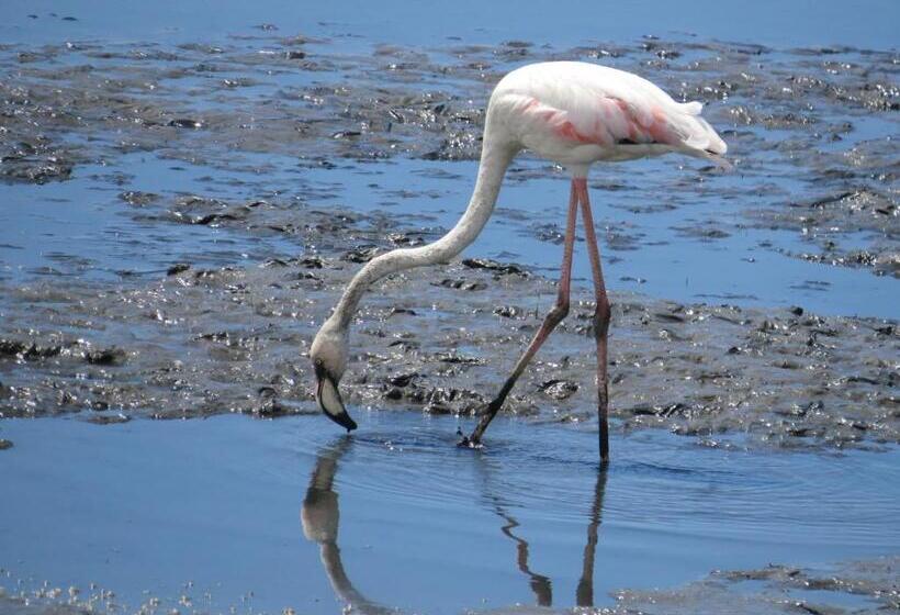 פנסיון Aveiro House