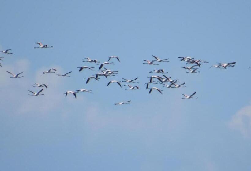 פנסיון Aveiro House