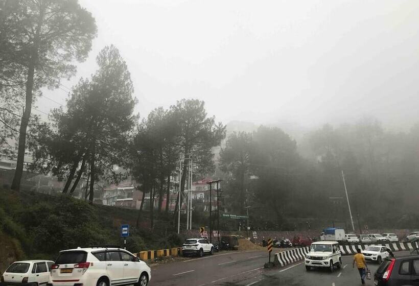 Cozy Solan Apartment With Stunning Views