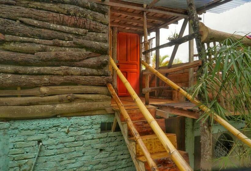 مبيت وإفطار Habitación Colibrí, Pijao, Finca Flora Del Río