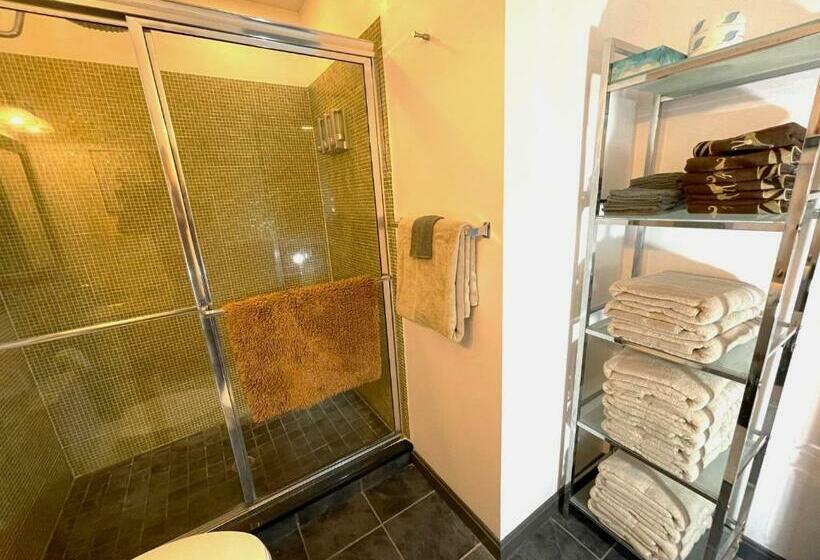 Gorgeous Ski On/off 2 Br Sleeps 8 Jiminy Must See Luxury