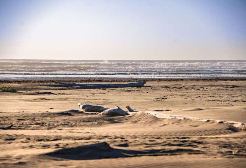 فندق Surfcrest Resort