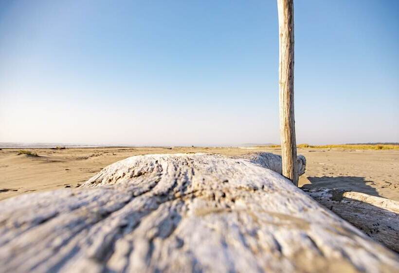 فندق Surfcrest Resort