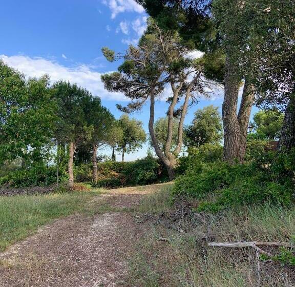 בית מלון כפרי Torre Del Gallo