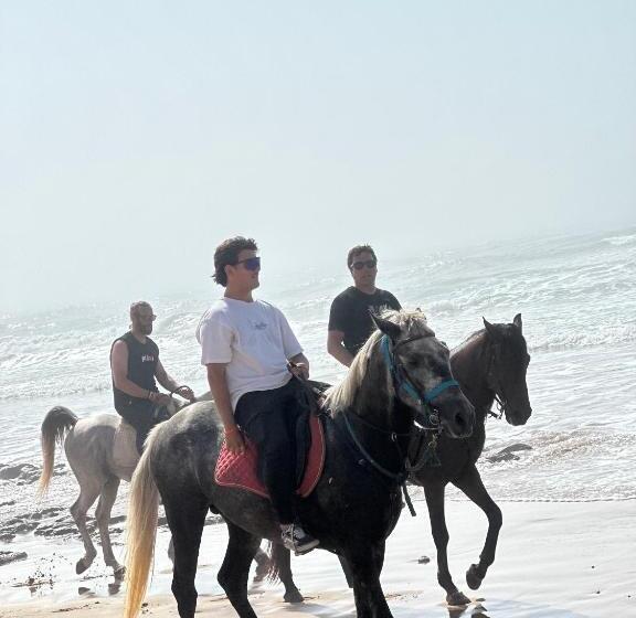 مسافرخانه Atlantis 12, Maison d'hôtes et d'art