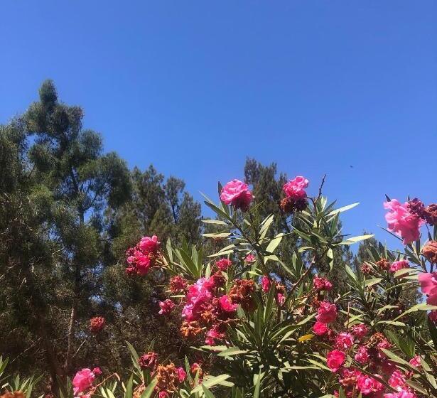 مسافرخانه Atlantis 12, Maison d'hôtes et d'art