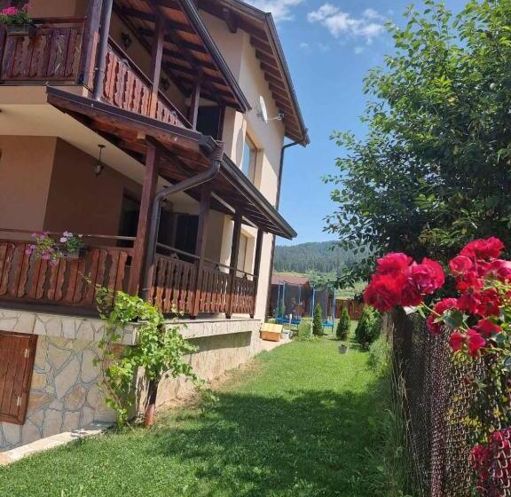 بنسيون вила Belle Vie