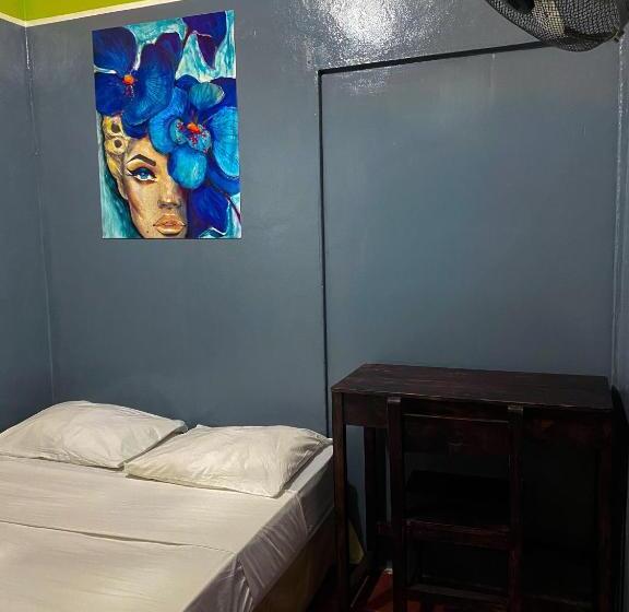 بنسيون Hostal Tortuga Viajera