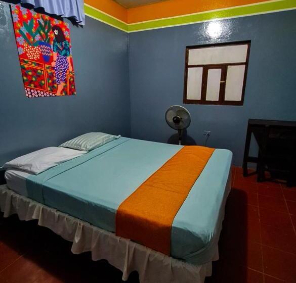 پانسیون Hostal Tortuga Viajera