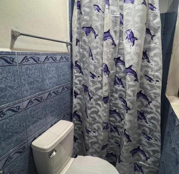 پانسیون Hostal Tortuga Viajera