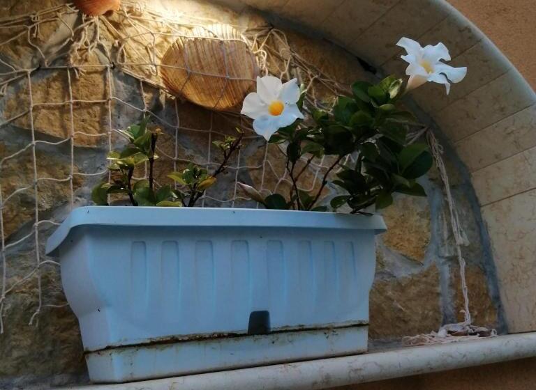 پانسیون Ivana Home