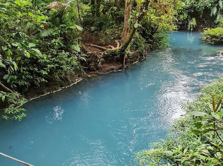 膳宿费 Hostel Santafe