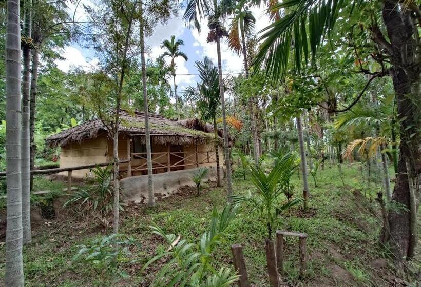 渡假胜地 Marayoor Mudhouse