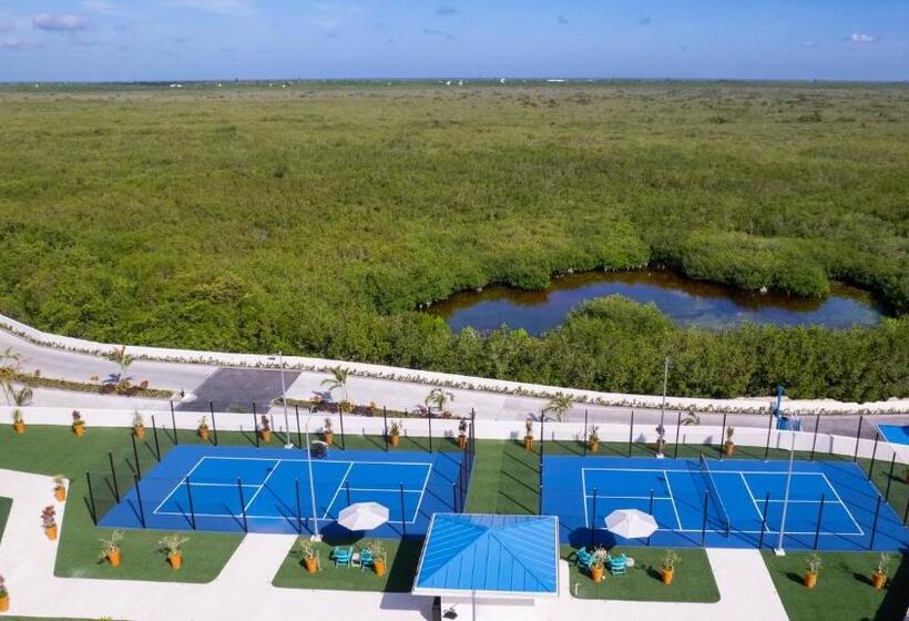 استراحتگاه Margaritaville Island Reserve Riviera Maya   An Adults Only Karisma All Inclusive Experience