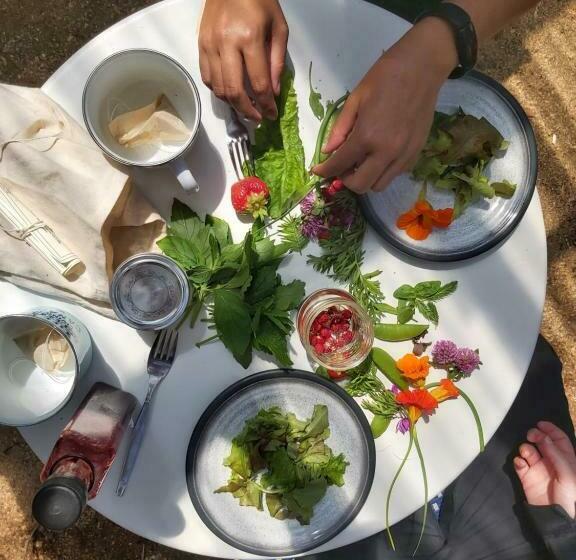 Upper Humber Settlement A Farmstay B&b