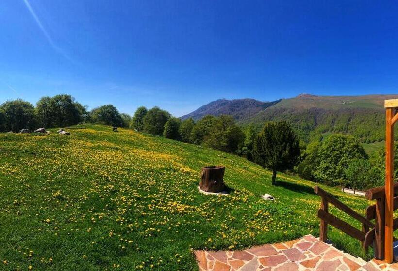 ユースホステル Rifugio Baita Fos Ce